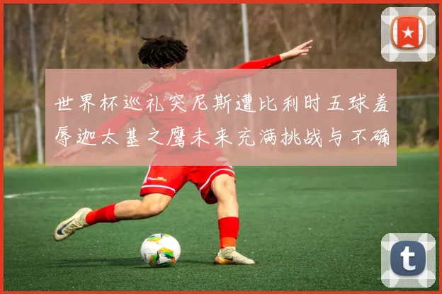 世界杯巡礼突尼斯遭比利时五球羞辱迦太基之鹰未来充满挑战与不确定性